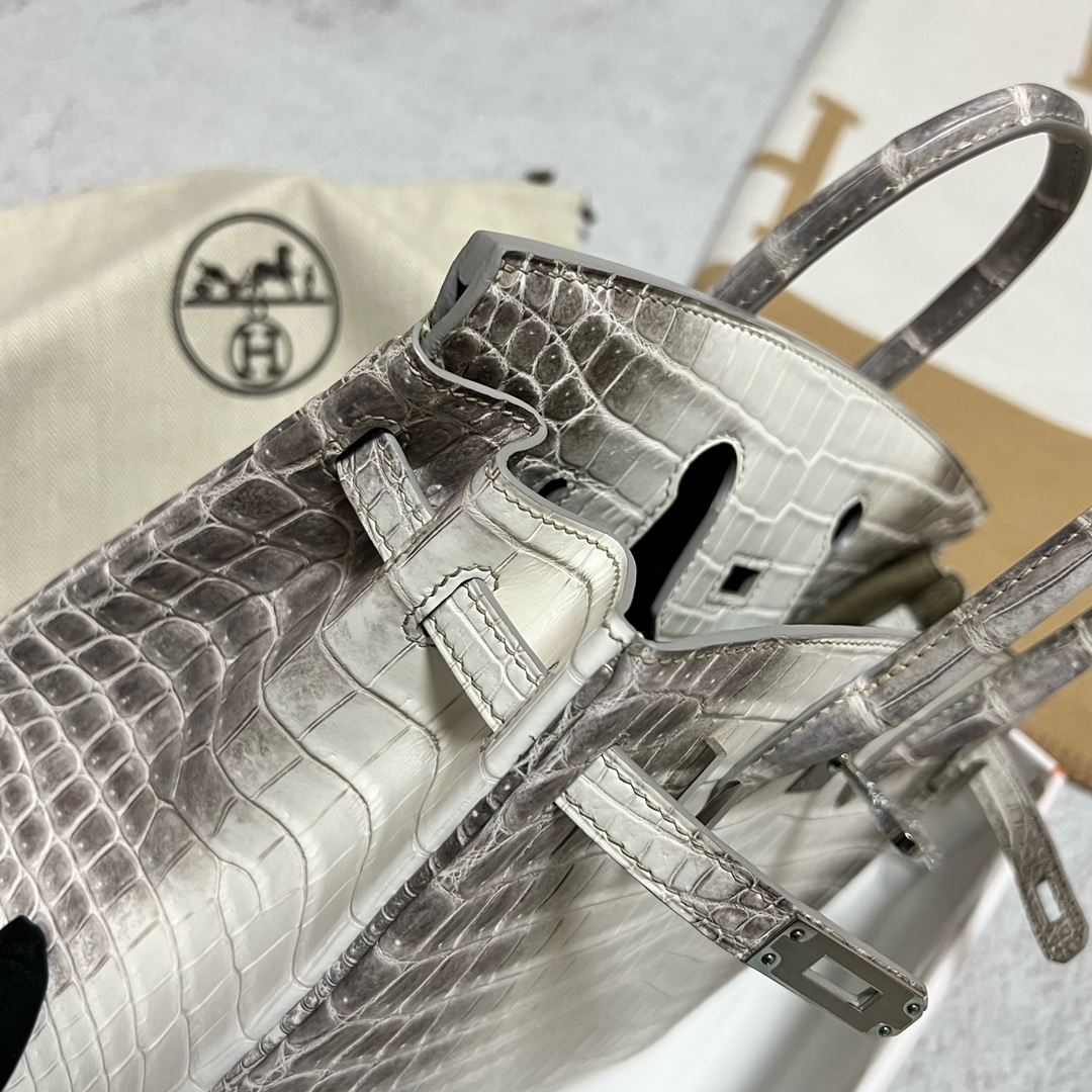 에르메스 버킨백25 히말라야 은장